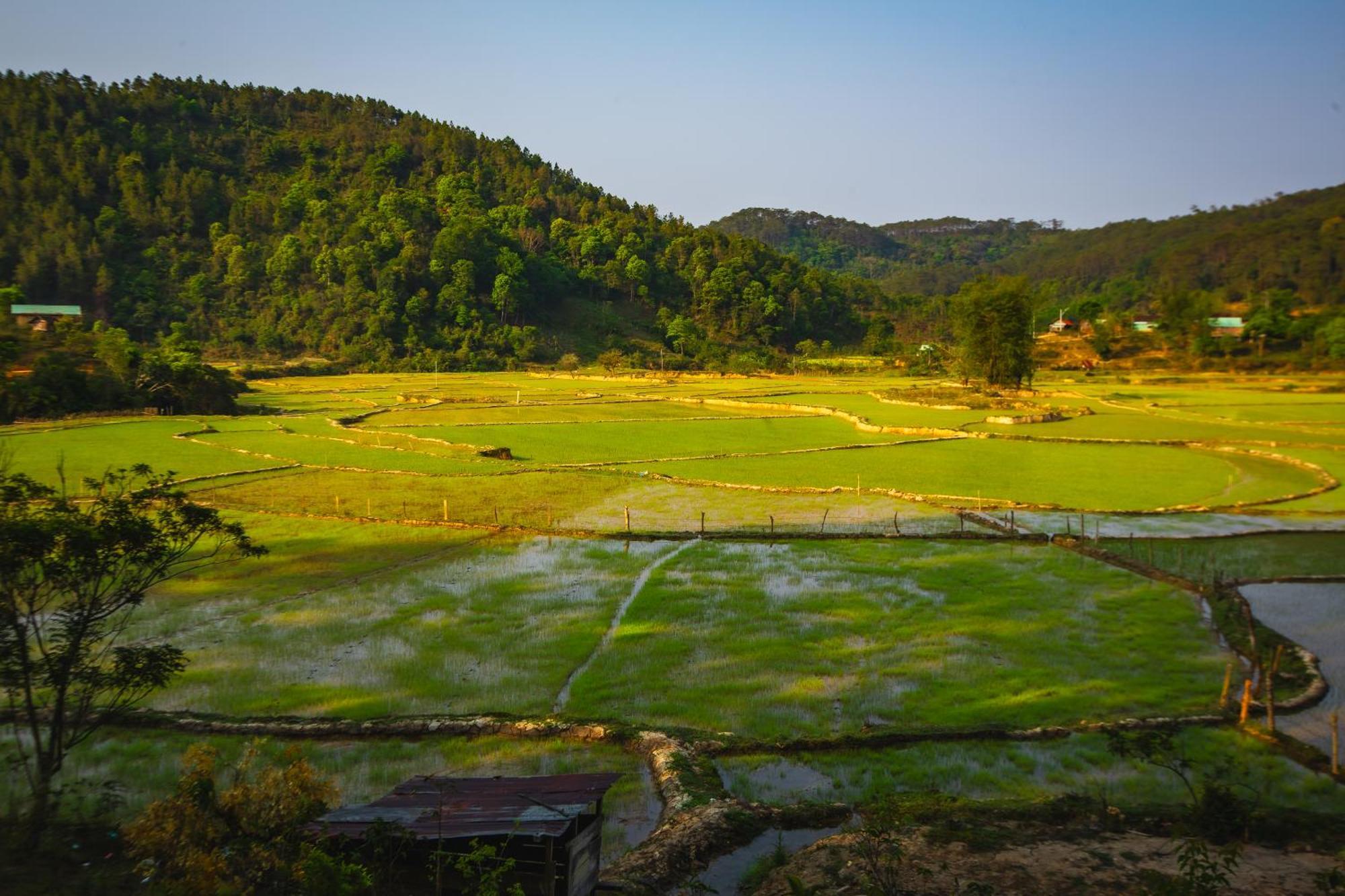 Nha Trong Ban - Homestay Mang Den Kon Von Kla ภายนอก รูปภาพ